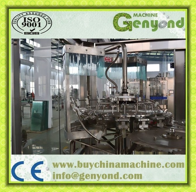 Top quality apple juice process plant / apple juice extracting press