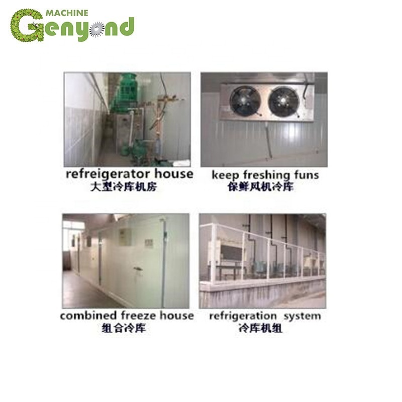 Apple/banana/orange/lemon Cold Storage,Cold Storage Room for sale