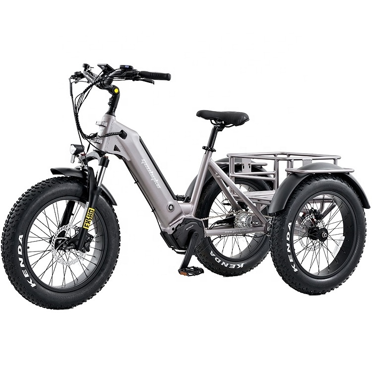 20 Inch Electric Trike Fat Tire 3 Wheel Electric Tricycle Adult Cargo Electric Bike With Basket