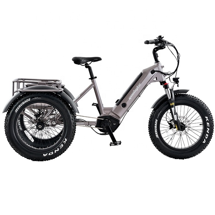 20 Inch Electric Trike Fat Tire 3 Wheel Electric Tricycle Adult Cargo Electric Bike With Basket