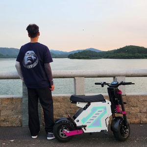 High Quality Safety Big 2 Wheels Adult Electric Scooter Price App Control Pink Purple 2 Seater 72V China Mot Scooters With Seat