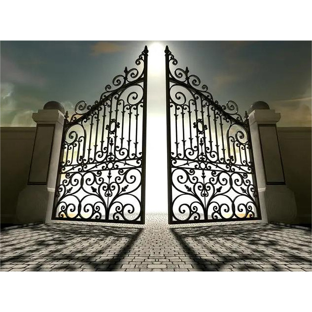 Villa Used Iron Modern Automatic Luxury Steel Villa Customized Size Swing Driveway Gates Wrought Iron Main Gate Designs