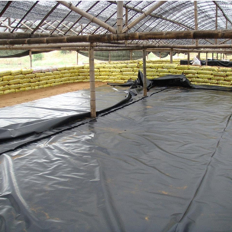 composite geomembrane hdpe price,high performance fish farming high quality hdpe geomembrane liner