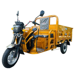 Electric Tricycle for Cargo High Quality Electric Trike Scooter Three Wheel Motorized Yellow 1000W Motor 60V Brushless Open 1.5m