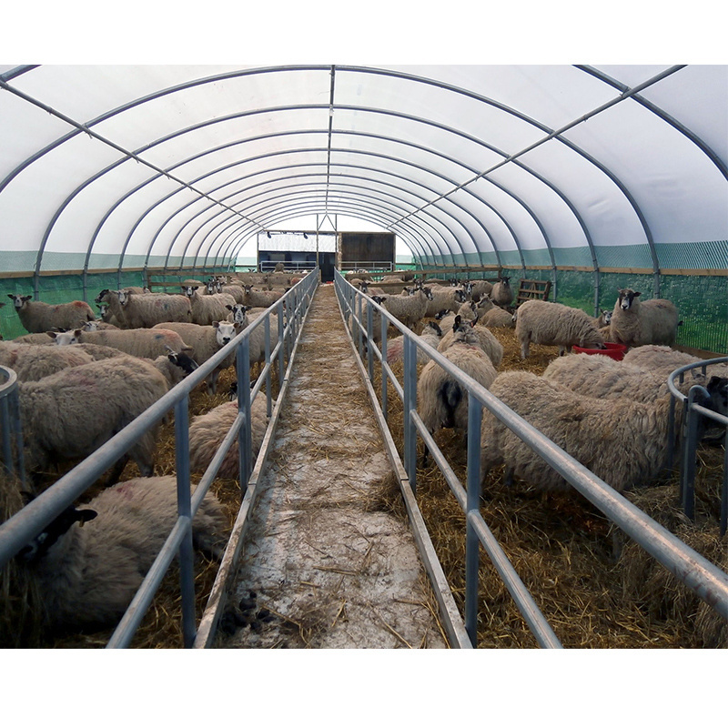 New prefab steel frame fabric livestock shed horse canopy cattle shelter tent cattle cow sheep shelter shed animal tent for sale