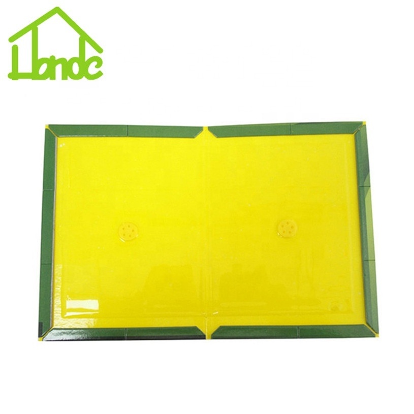 Large Disposable Mouse Glue Trap Easy to Set Rat Sticky Pad Board for House Indoor Outdoor