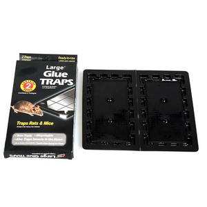 Indoor Large Sticky Rat Glue Traps Non Toxic Mouse Glue Traps Easy Set Mice Sticky Pad Board