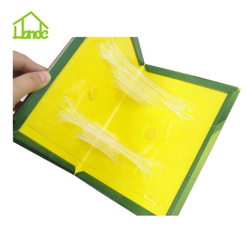 Indoor Large Rat Glue Trap Strong Adhesive Mouse Glue Trap Sticky Trap Board for Mice and Rats