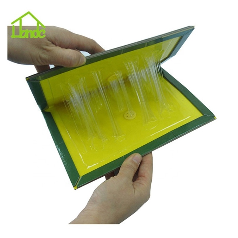 Indoor Large Rat Glue Trap Strong Adhesive Mouse Glue Trap Sticky Trap Board for Mice and Rats