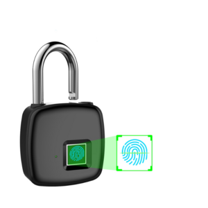 2022 China padlock manufacture Top fingerprint lock Cute Smart security biometric padlock