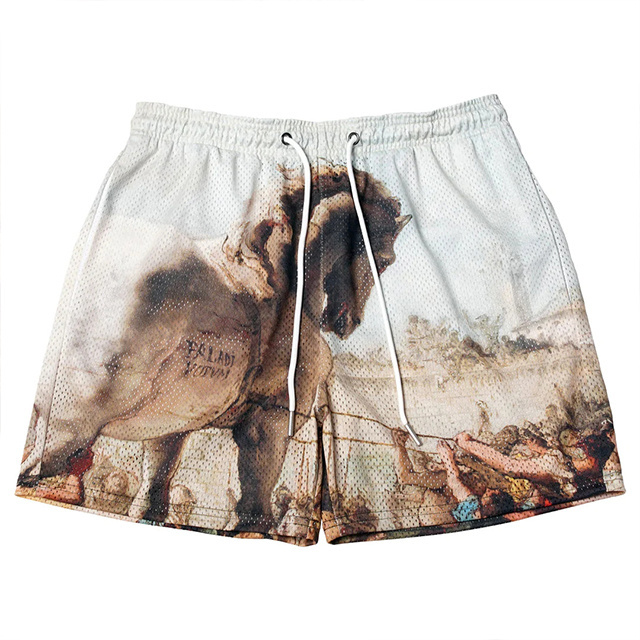 NO MOQ custom polyester digital print mesh shorts for men