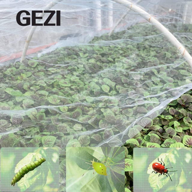 Against hail insect netting soft thin net agricultural Vegetable Plant Protect Netting Soft Insects Netting