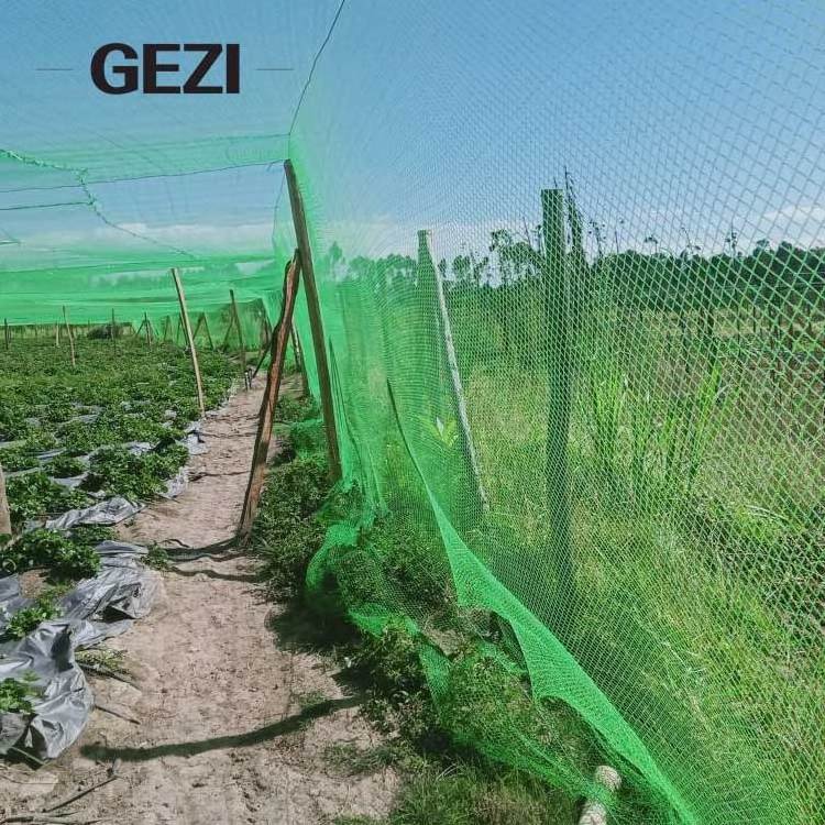 anti bird mist nti-bird net cage trapping invisible ss trap antti green hdpe black heavy duty nylon  10m rs 450 for catching