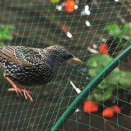 Low price high density polyethylene HDPE anti bird nets for fruit tree and vegetable protection garden net