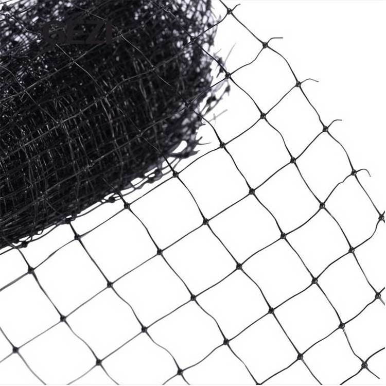 catching wild bird net  birds net trap protection  mist net birds 12m bird trap net low saudi arabia bird net bird-mist-nets