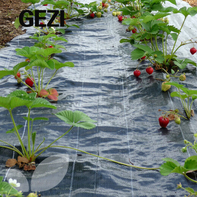 100gsm pp/pe woven nonwoven non-woven agricultural vegetable garden grass anti weed prevent mats plastic mulch film organic