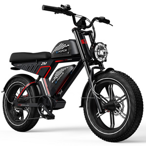 Fat Tire Electric bike 48V 40Ah dual lithium battery 750W powerful electric bicycle