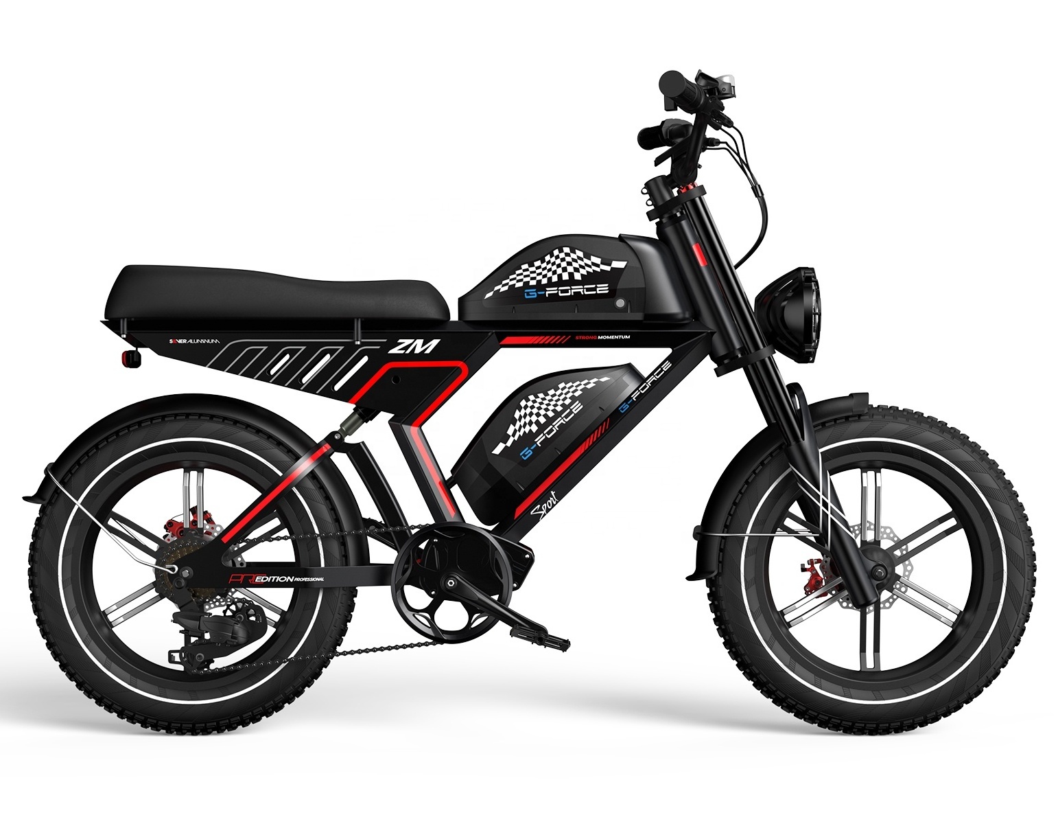 Dual lithium iron battery electric bike 48V 40Ah 750W powerful electric bike