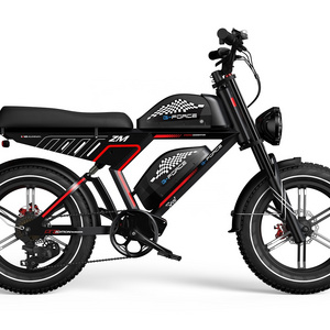 Dual lithium iron battery electric bike 48V 40Ah 750W powerful electric bike