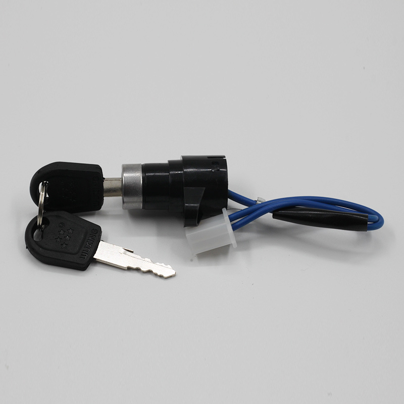 24v 250w Good Quality Electric Rickshaw 800w 1000w Brushless Dc Motor Kits Electric Tricycle Spare Parts