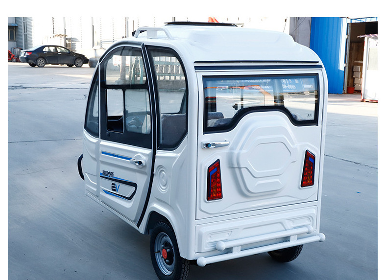 2022 Hot Sale New Cheap Fully Enclosed Convertible Large Space Adult Electric Tricycles