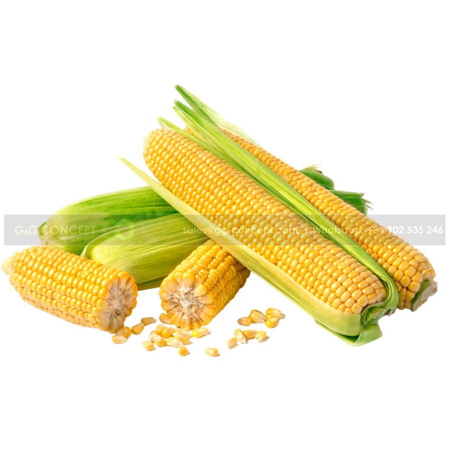 Pre-Packed Frozen Sweet Corn Canned 1kg, Easy To Prepare, High In Nutrients, Convenient For Any Meal