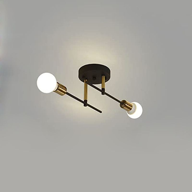 Hot sales 2-light Simple Metal Ceiling Lamp Flush Mounted Indoor Room Lights Ceiling