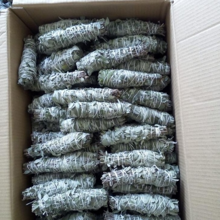 High Quality Sage Smudge Stick Bulk 6