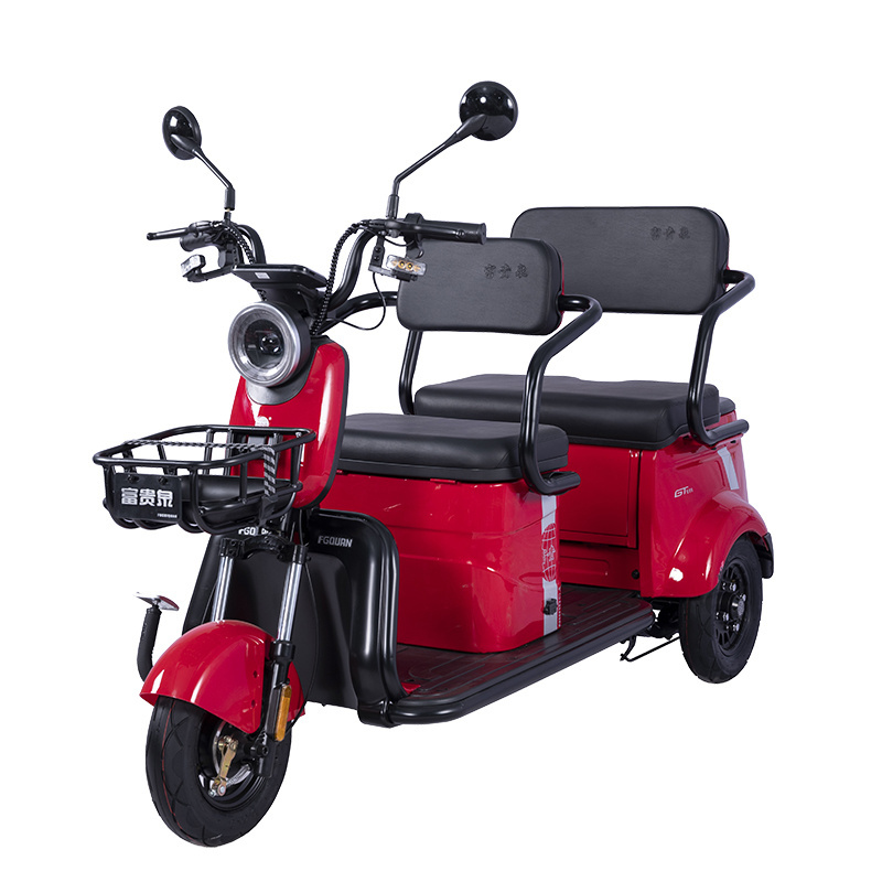 3 Wheel Tricycle Van in Pakistan Electric Tricycle for Handicapped