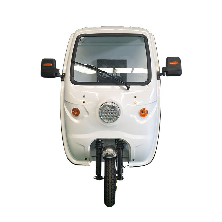 3 Wheel Electric Express Tricycle Cargo Bike Enclosed Adult Tricycles