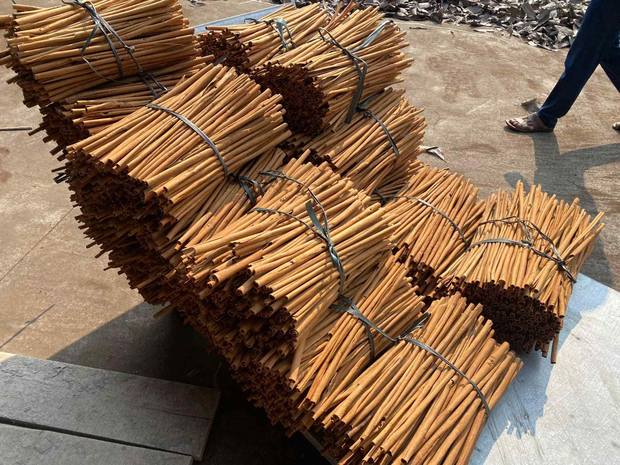 Cassia Tube Bulk packing dark brown color dried Cassia Sticks Vietnam Spices Natural Cassia Cinnamon