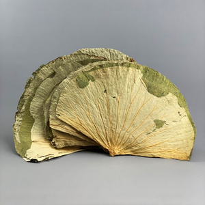 Dried Lotus leaf for flavor tea cheap guava leaf tea