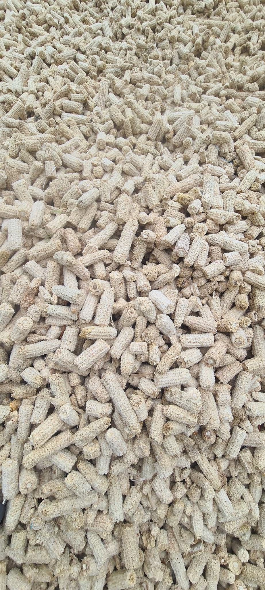 Vietnam Fermented Corn silage supplier Dried Corn cobs powder yellow corn