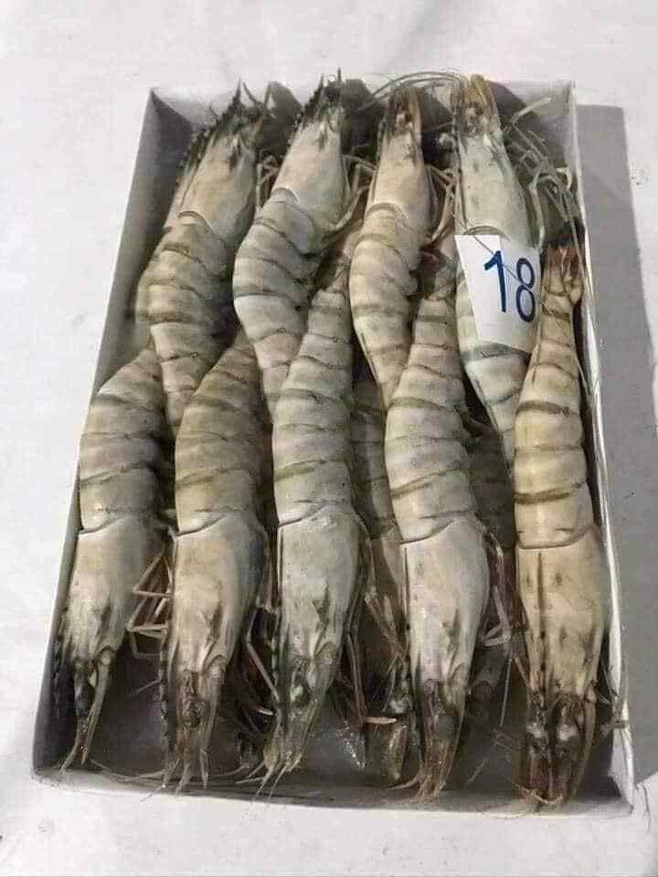 Frozen White Shrimp vannamei Species Code WTSH Block 1.0 kgs x 6 per carton top export  Seafood Vanamei Black tiger Shrimp