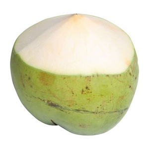 Mature Coconut Fresh Tender Coconut top cut polished semi husked fresh coconut