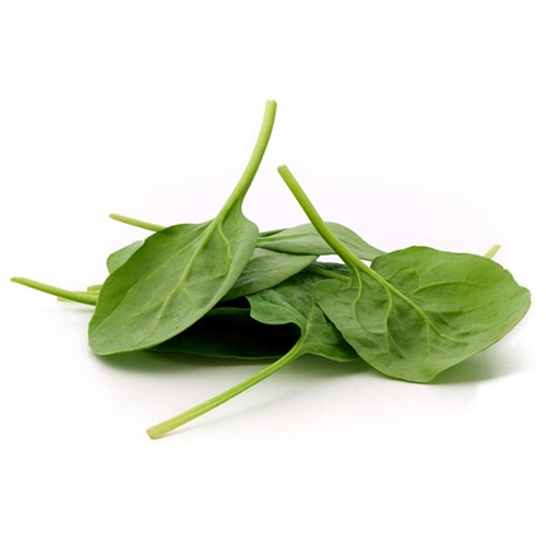 ORGANIC SPINACH POWDER EXTRACT DRIED DEHYDRATED SPINACIA OLERACEA