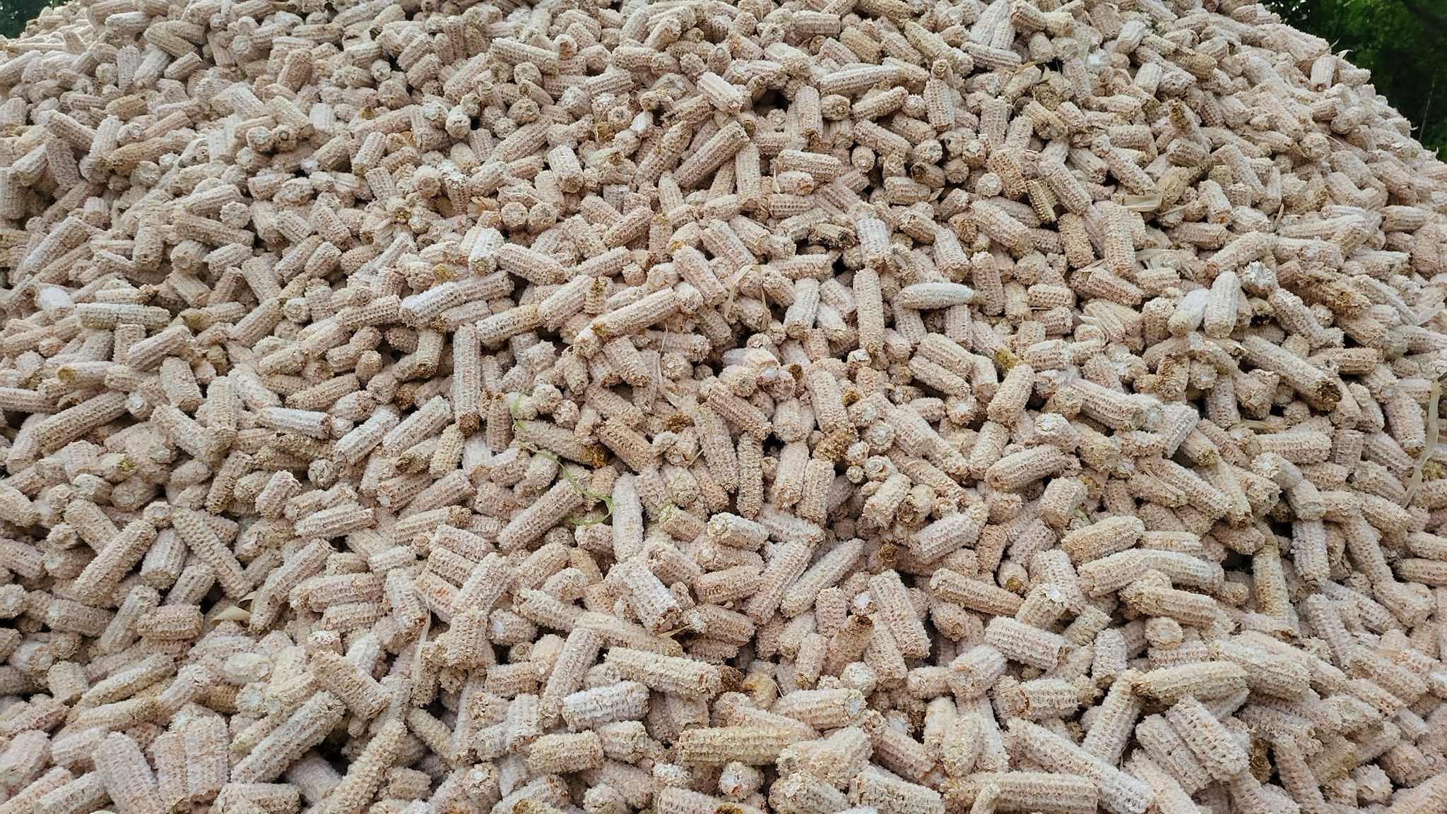 Animal feed dried corn cobs moisture 10% yellow corn chicken feed Corn silage