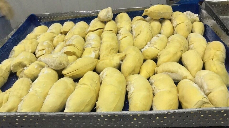 FROZEN MONTHONG THAI DURIAN/ FRESH DURIAN/ DRIED DURIAN