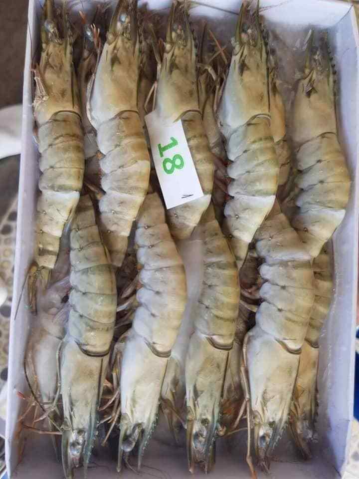 Frozen White Shrimp vannamei Species Code WTSH Block 1.0 kgs x 6 per carton top export  Seafood Vanamei Black tiger Shrimp