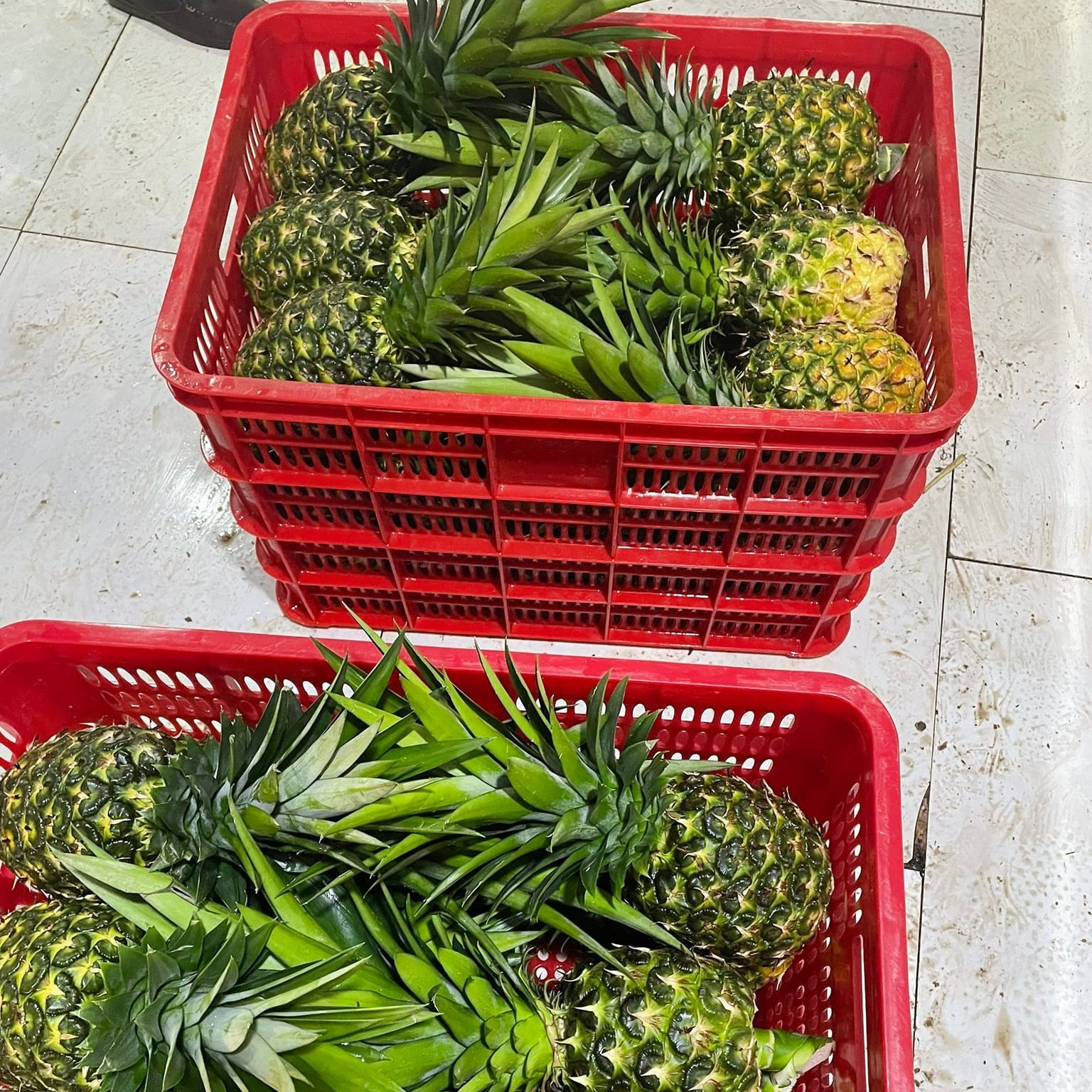 Fresh Pineapple VIETNAM Origin Tropical Pineapple Juice Concentrate Pineapple