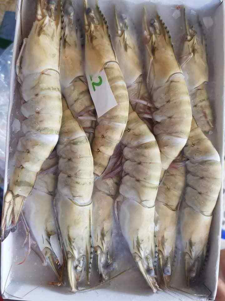 Frozen White Shrimp vannamei Species Code WTSH Block 1.0 kgs x 6 per carton top export  Seafood Vanamei Black tiger Shrimp