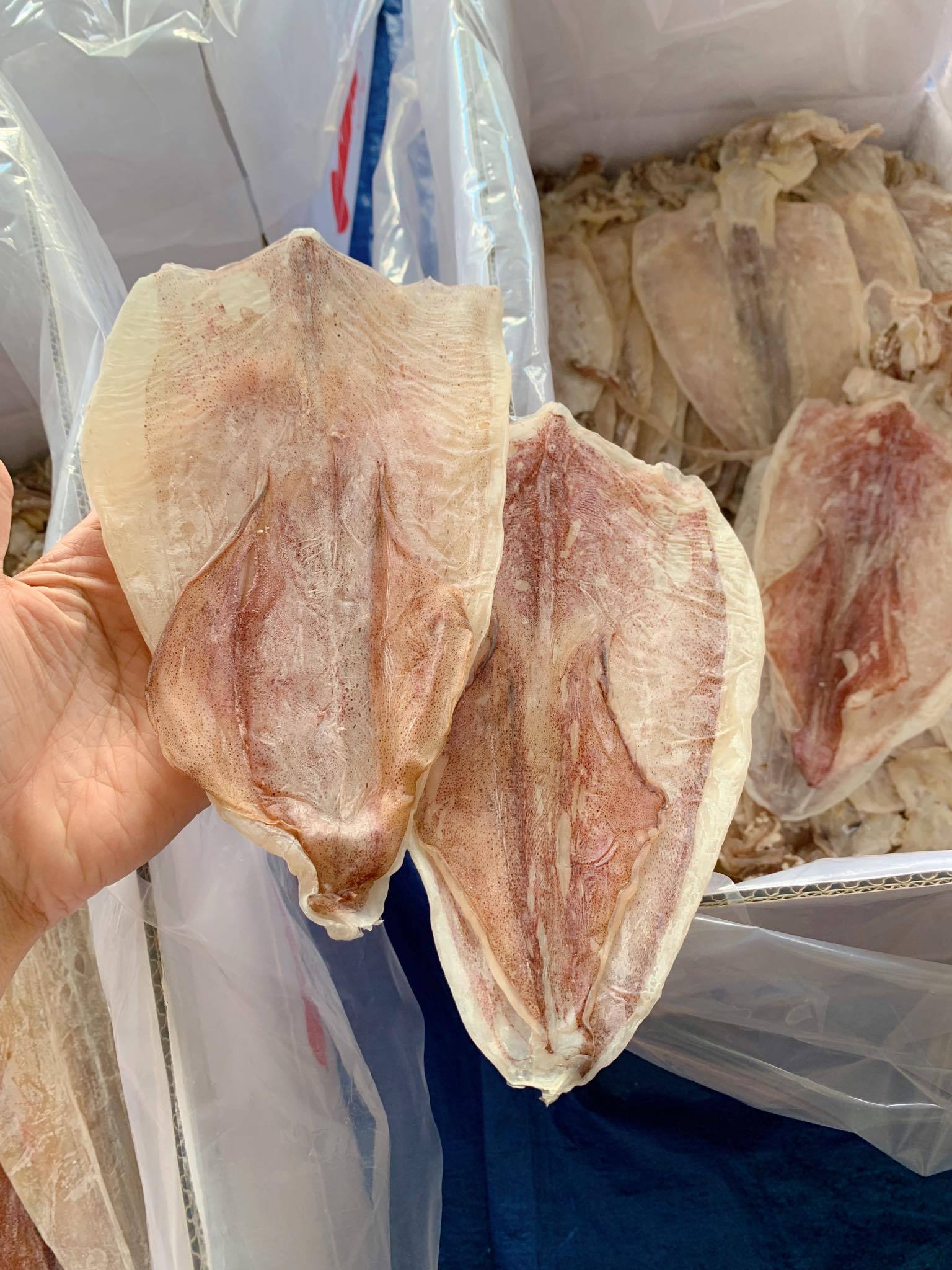 Special Dried Squid (8-130 pieces/kg) from Vietnam | Dried Squid | Dried whole Cuttlefish