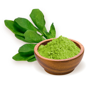 ORGANIC SPINACH POWDER EXTRACT DRIED DEHYDRATED SPINACIA OLERACEA