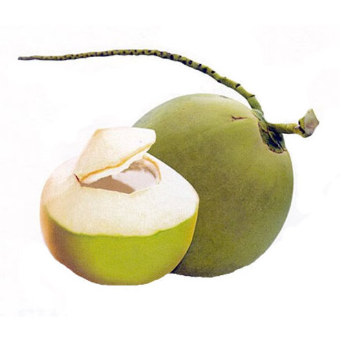 Mature Coconut Fresh Tender Coconut top cut polished semi husked fresh coconut