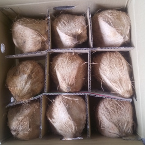 Dried Whole Coconut Mature From Vietnam, dried husked mature coconut, fresh whole coconut