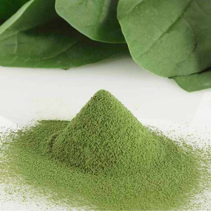 ORGANIC SPINACH POWDER EXTRACT DRIED DEHYDRATED SPINACIA OLERACEA