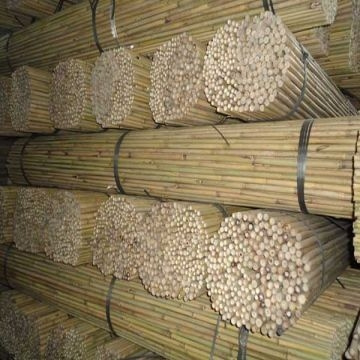 Bamboo Craft Bamboo pole for bamboo tables chairs, rattan cane baskets in Viet Nam