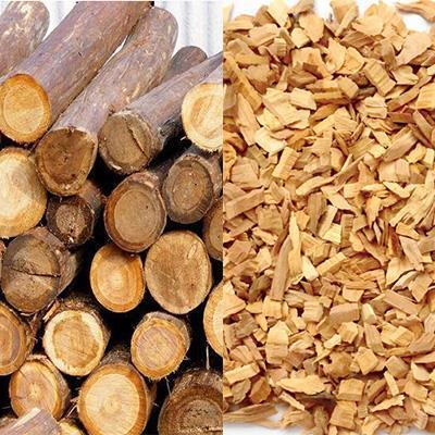 Hot Product Wood Chips For paper pulp