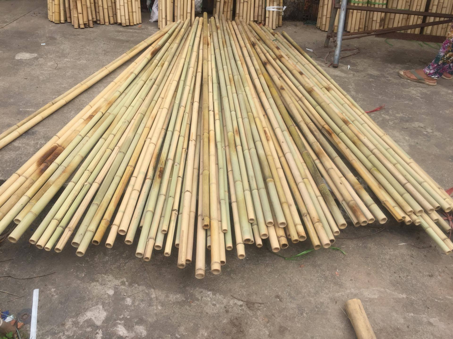 Cheap price Straight Raw Dry Garden Of Bamboo Poles