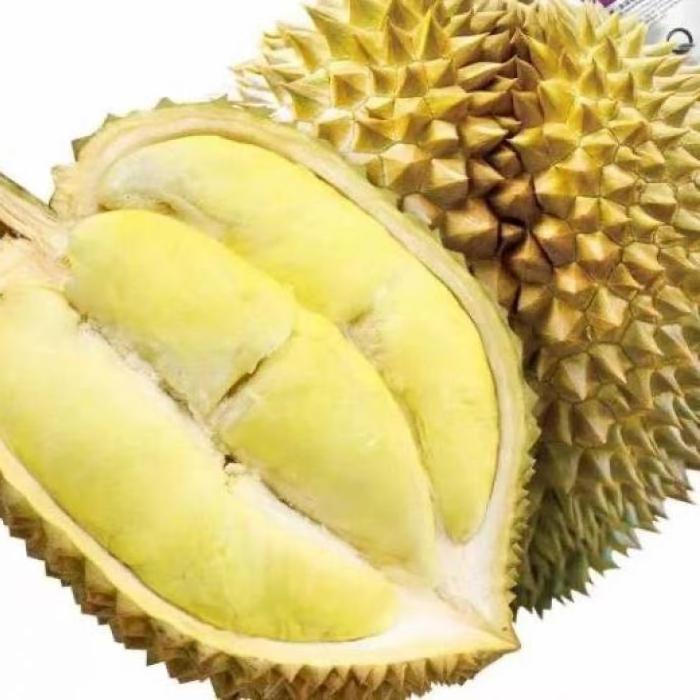 100% Pure Frozen Fresh Durian/  Monthong Thai Durian